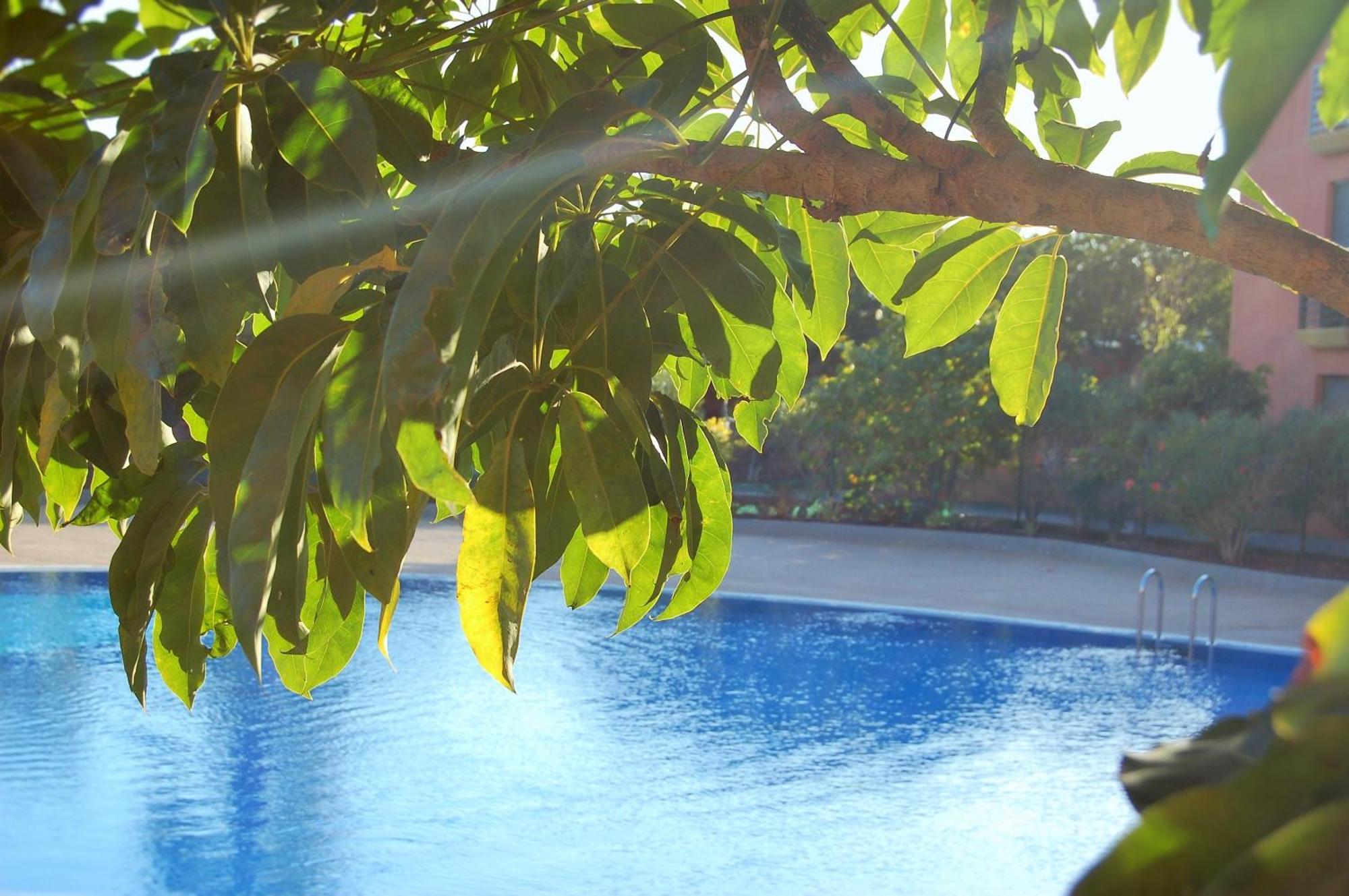 La Tejita Sotavento Tejita, Terrace And Beach מראה חיצוני תמונה